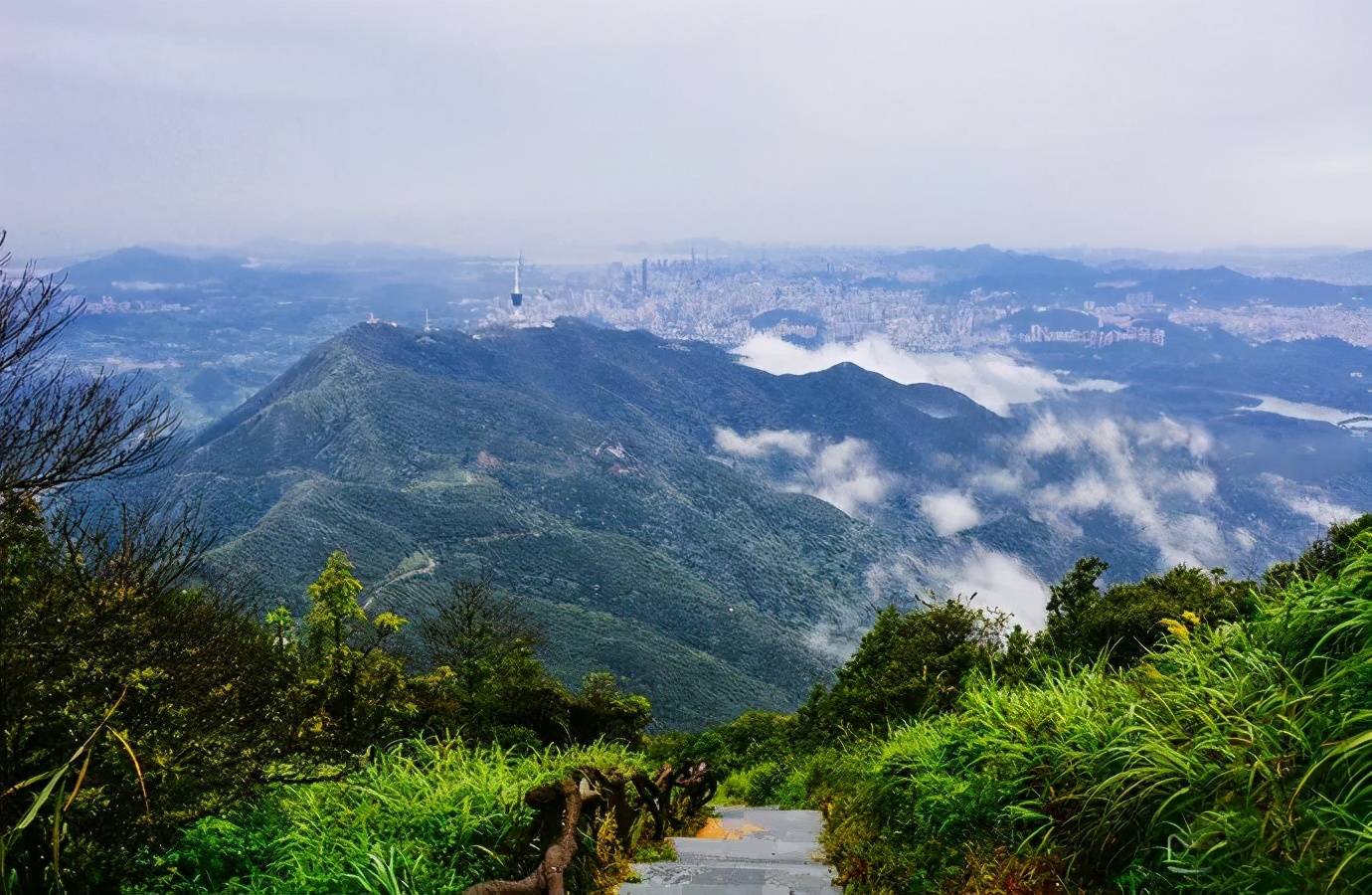 深圳玩的地方有哪些啊（来深圳最值得去的8个地方）-第14张图片