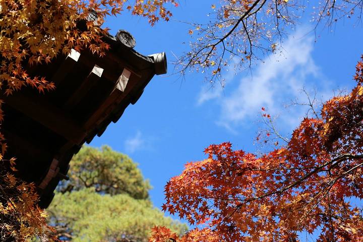 十一适合去哪里旅游（十月国庆长假去哪里？）-第1张图片