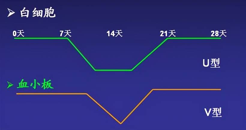 化疗后多久能恢复正常(6次化疗后多久能恢复正常)-第2张图片