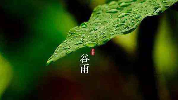 谷雨节气有什么特点-谷雨节气有几天-第1张图片