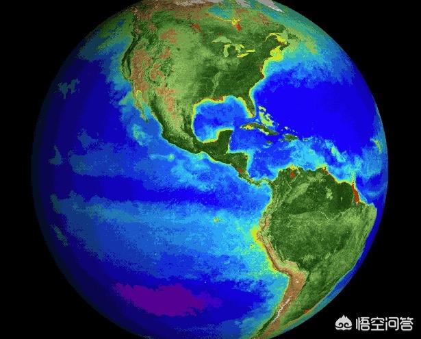 恐龙曾经统治地球1.6亿年没产生智慧（为何没有进化出智）-第11张图片