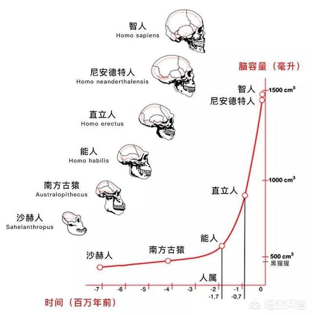 恐龙曾经统治地球1.6亿年没产生智慧（为何没有进化出智）-第10张图片