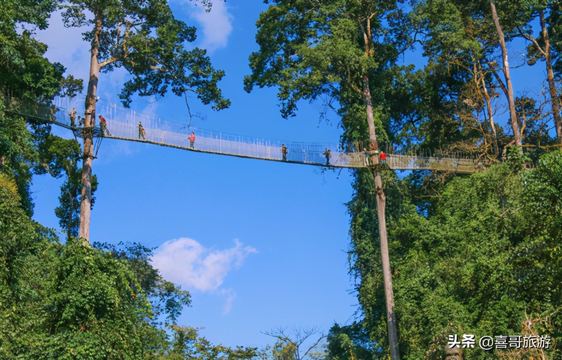 西双版纳十大旅游景点（推荐西双版纳有什么好玩的地方）-第12张图片