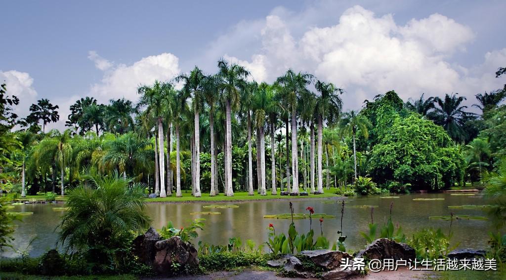 西双版纳傣族自治州属于哪个市（西双版纳有哪些好玩的景点）-第6张图片