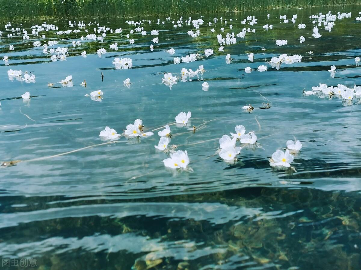 四川泸沽湖海拔多少米（去泸沽湖旅行是否会有高原反应）-第4张图片