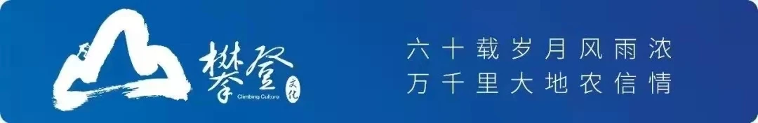 10个简短的党史小故事(10个简短的党史小故事30字)-第1张图片