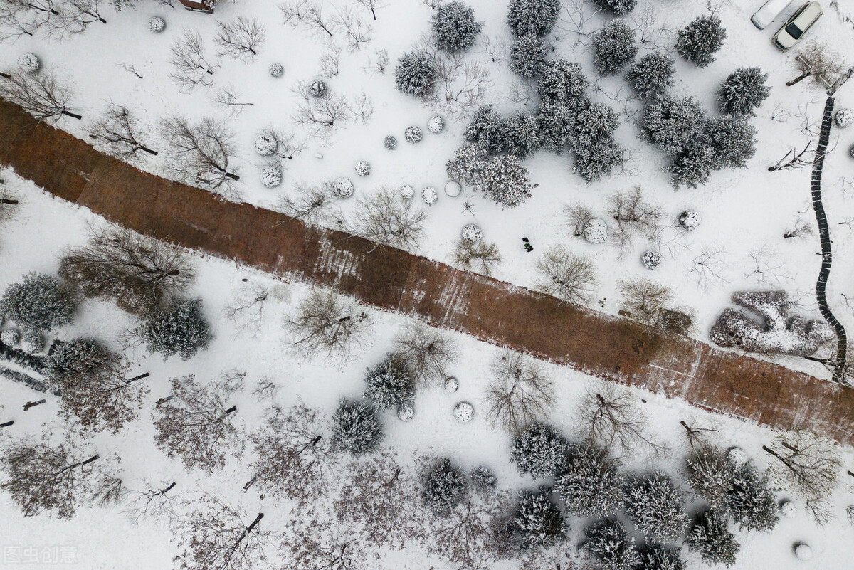 下雪打雷是什么征兆(“雷打雪，人吃铁，正月雷声发，大旱一百八”雷打雪什么预兆)-第4张图片