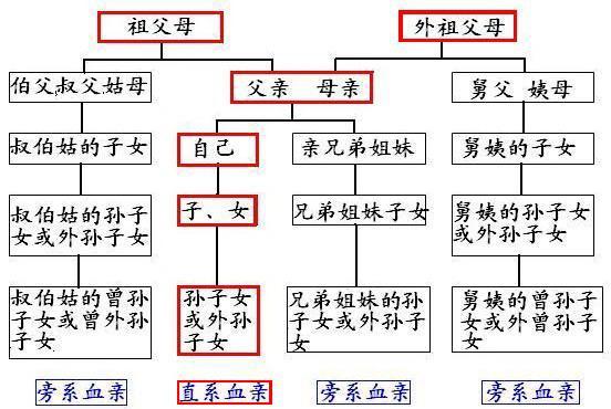 直系亲属和旁系亲属的区别（附关系图）-第1张图片