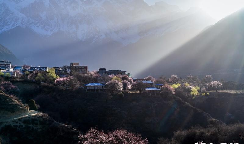 桃花最多的地方在哪里（中国哪里桃花开得最盛最好看）-第3张图片