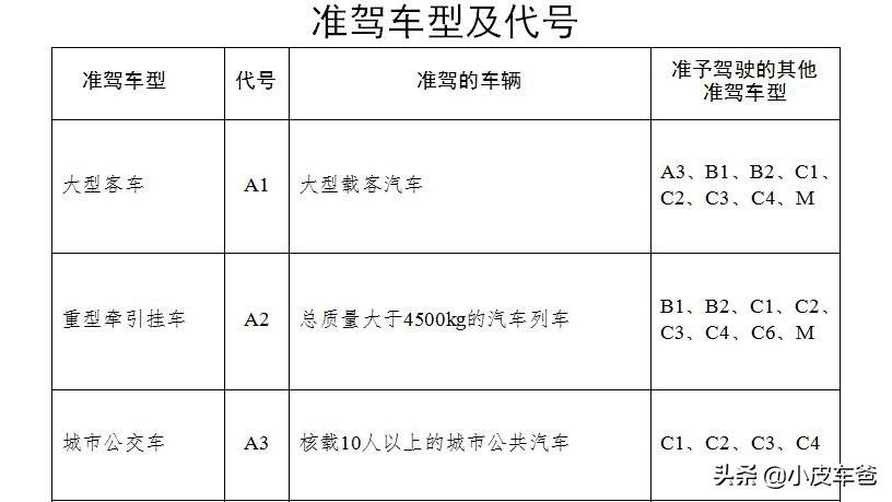 a3驾驶证可以开什么车型（A3驾驶证考试年龄有什么要求）-第3张图片