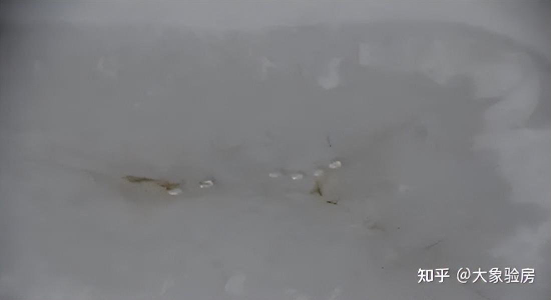 精准定位查漏水一次多少钱（墙体渗水怎么找漏水点）-第11张图片