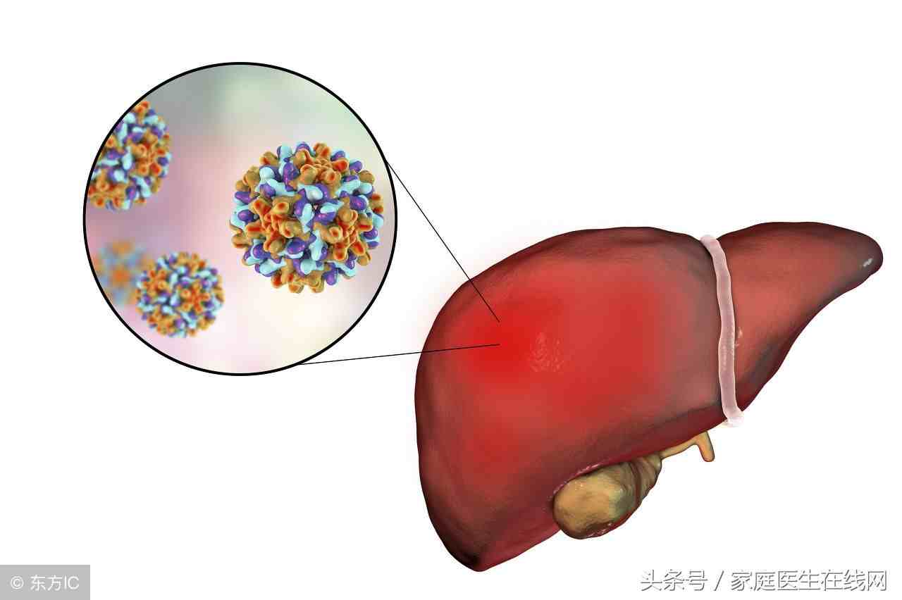 乙肝传播途径有哪些（乙肝的主要传播途径有哪些？）-第3张图片