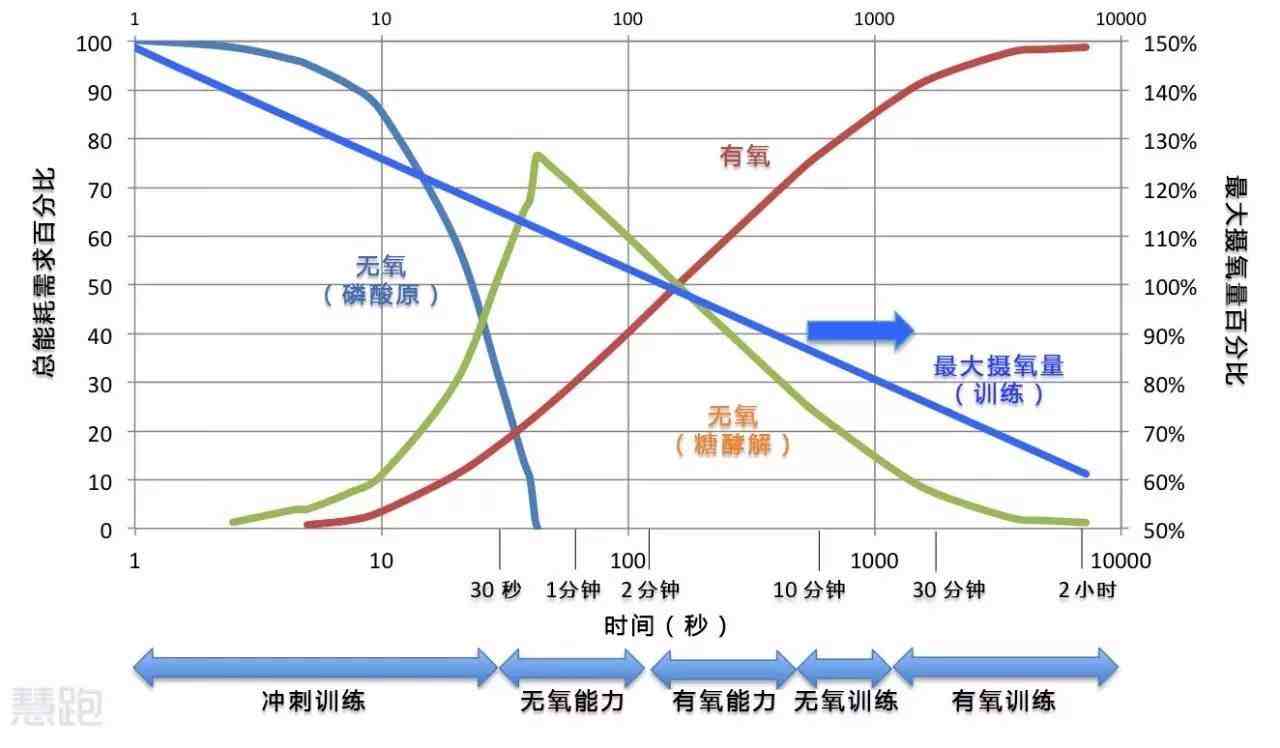 有氧运动和无氧运动（无氧运动和有氧运动有何区别）-第9张图片