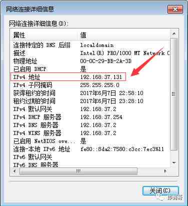 ip地址是什么（如何查看本机的IP地址？）-第7张图片