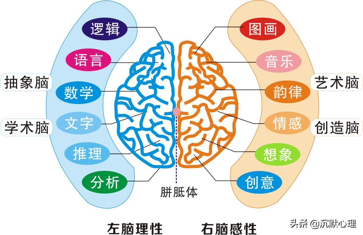 已婚女人梦见蛇（梦到蛇是什么意思？）-第1张图片