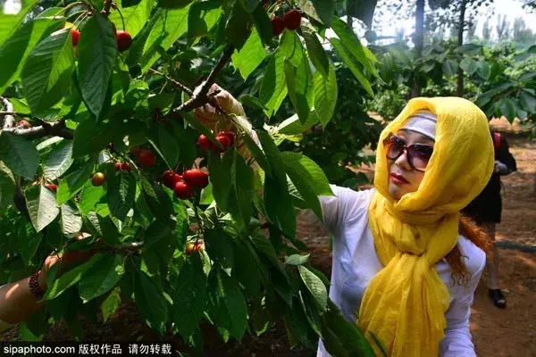 北京端午节去哪玩（端午北京去哪嗨）-第6张图片