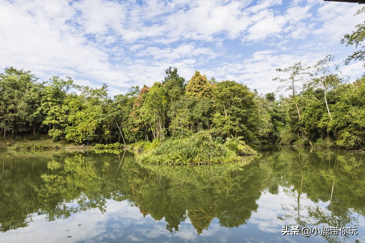 西双版纳的旅游景点（四天带你玩转西双版纳十大必去景点）-第6张图片