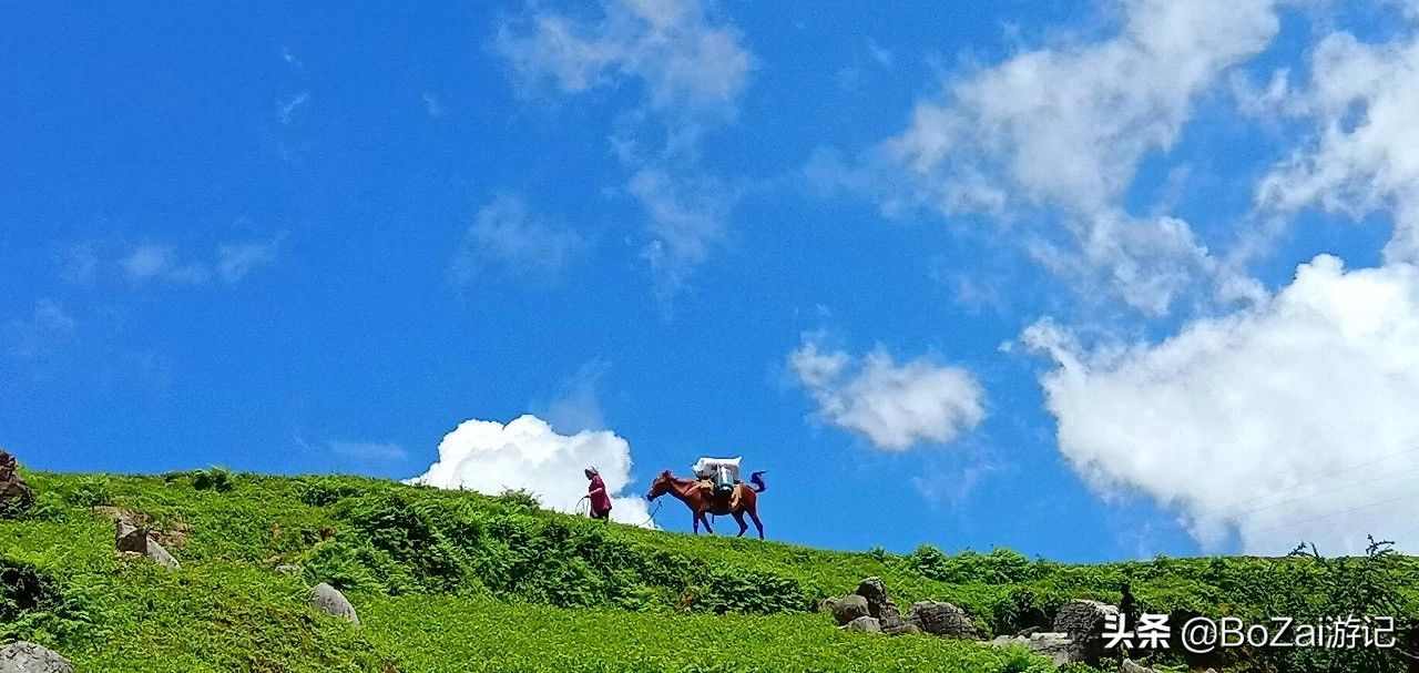 攀枝花旅游景点大全（四川攀枝花旅游不能错过的12个景点）-第6张图片