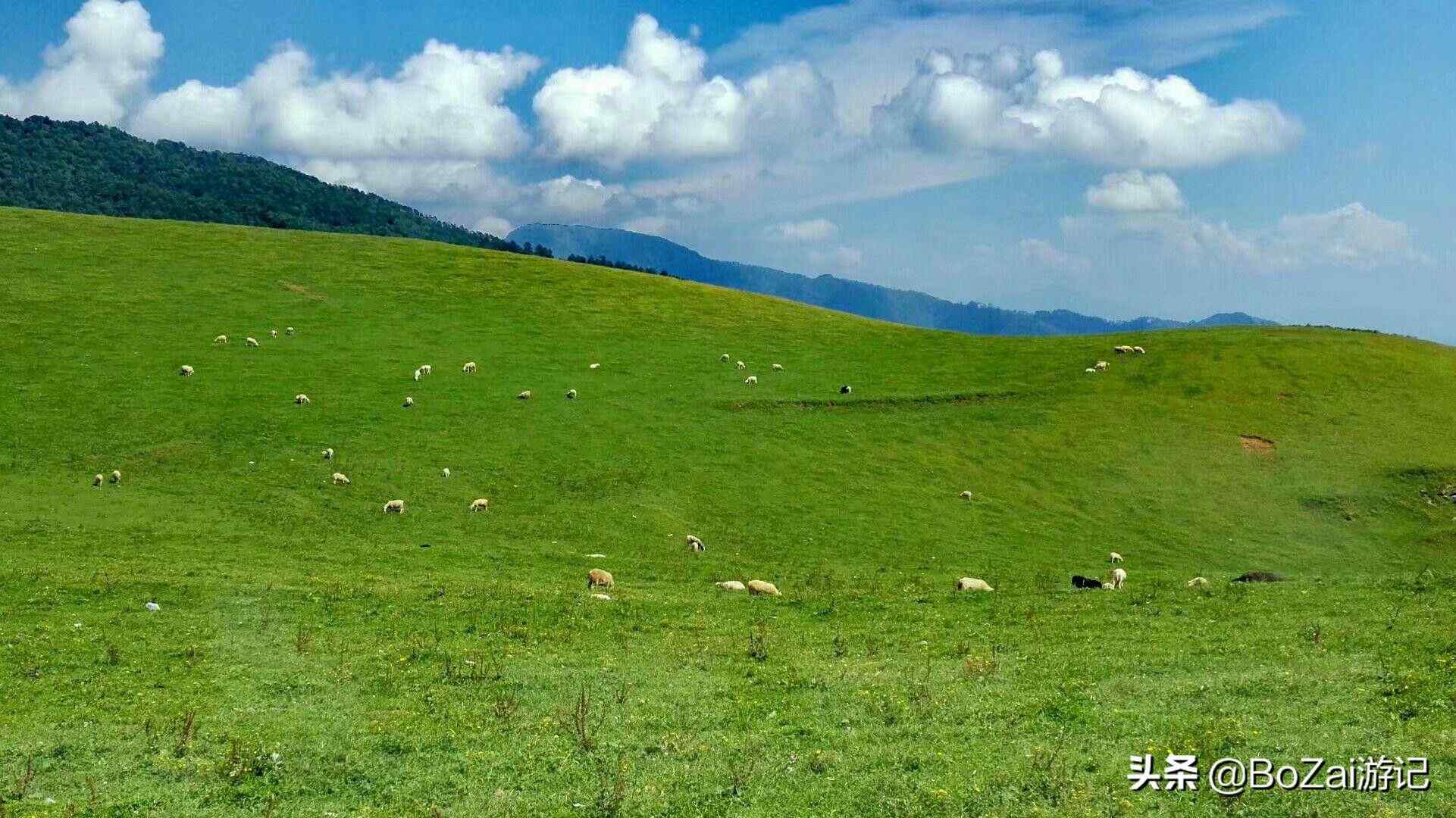 攀枝花旅游景点大全（四川攀枝花旅游不能错过的12个景点）-第9张图片