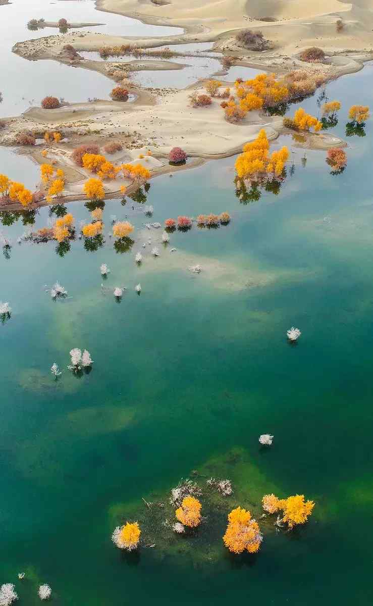 十月一去哪旅游好（十月一去哪儿玩？）-第16张图片