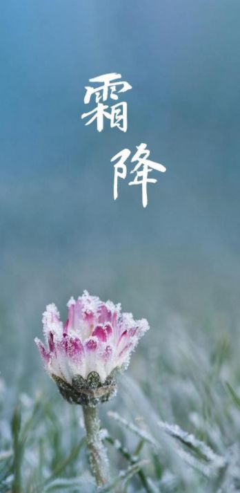 霜降节气诗（十三首霜降诗词）-第27张图片