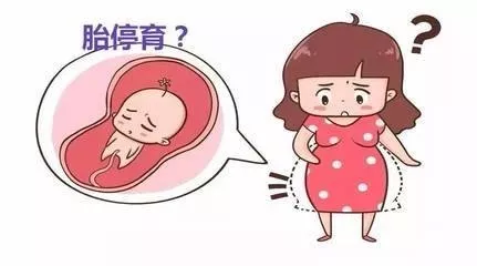 胎停的症状（胎停育有什么征兆？）-第1张图片