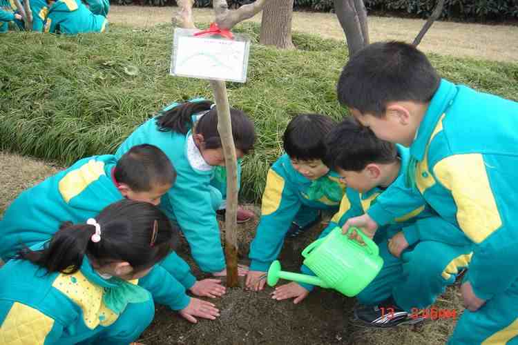 植树节是几月几日（每年的4月5日是植树节吗）-第3张图片