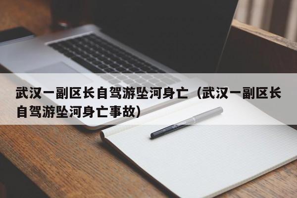 武汉一副区长自驾游坠河身亡（武汉一副区长自驾游坠河身亡事故）-第1张图片