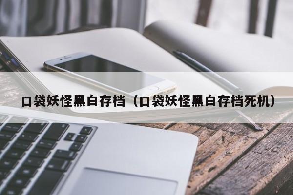 口袋妖怪黑白存档（口袋妖怪黑白存档死机）-第1张图片