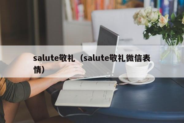 salute敬礼（salute敬礼微信表情）-第1张图片