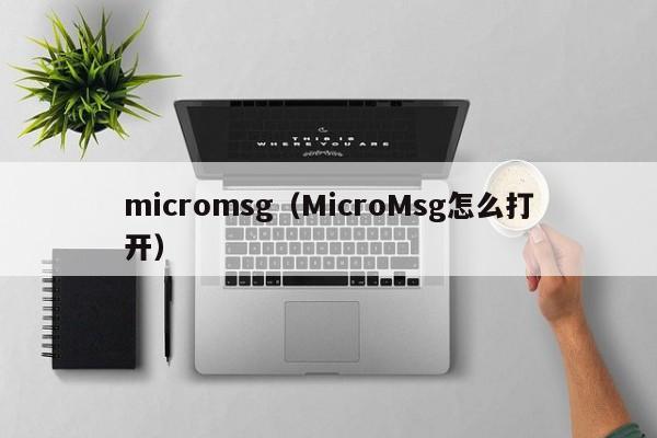 micromsg（MicroMsg怎么打开）-第1张图片