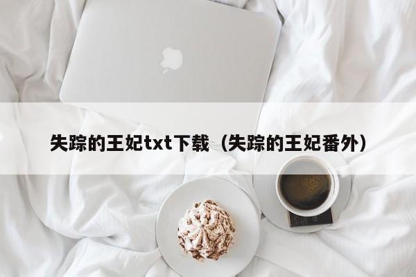 失踪的王妃txt下载（失踪的王妃番外）-第1张图片