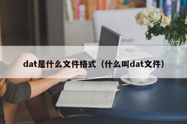 dat是什么文件格式（什么叫dat文件）-第1张图片