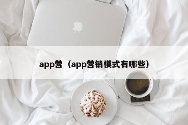 app营（app营销模式有哪些）-第1张图片