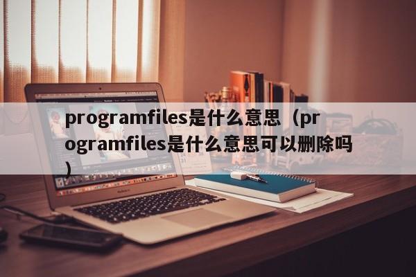 programfiles是什么意思（programfiles是什么意思可以删除吗）-第1张图片