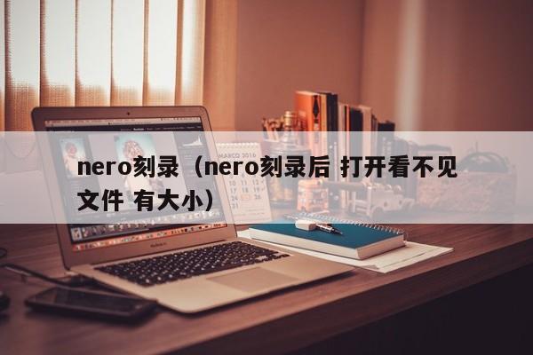 nero刻录（nero刻录后 打开看不见文件 有大小）-第1张图片