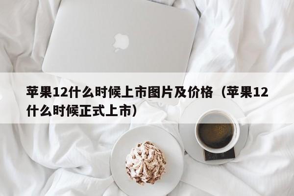 苹果12什么时候上市图片及价格（苹果12什么时候正式上市）-第1张图片