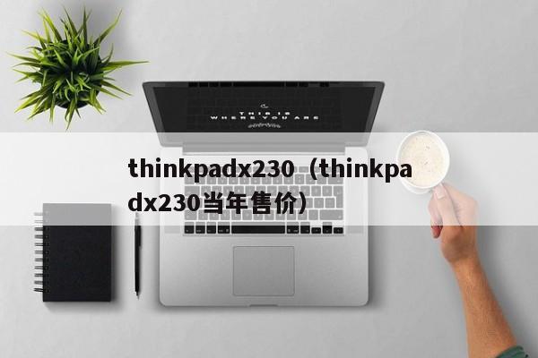 thinkpadx230（thinkpadx230当年售价）-第1张图片