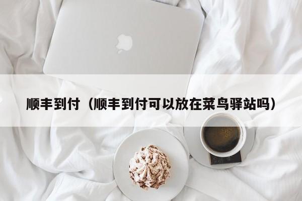 顺丰到付（顺丰到付可以放在菜鸟驿站吗）-第1张图片